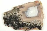 Polished Turkish Stick Agate Slab - Turkey #207928-1